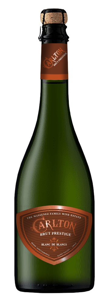 Carlton Brut Prestige sparkling wine bottle, Blanc de Blancs, from the Massenez Family Wine Estate.